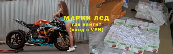 a pvp Бородино