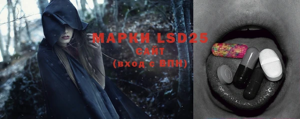 a pvp Бородино
