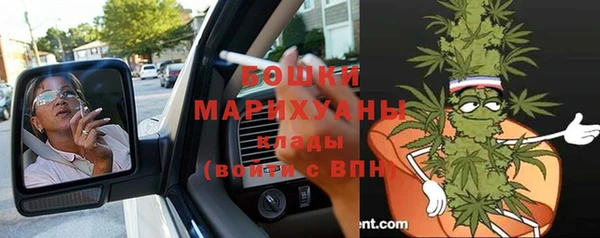 a pvp Бородино