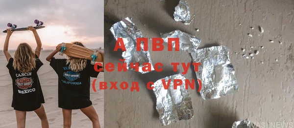 a pvp Бородино