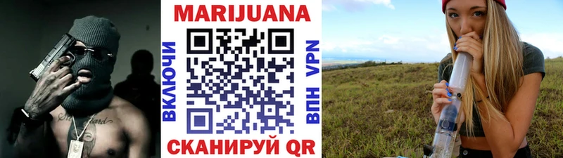 где купить   Кинешма  Канабис сатива 
